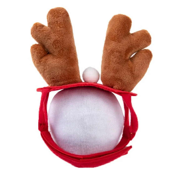Reindeer Antlers